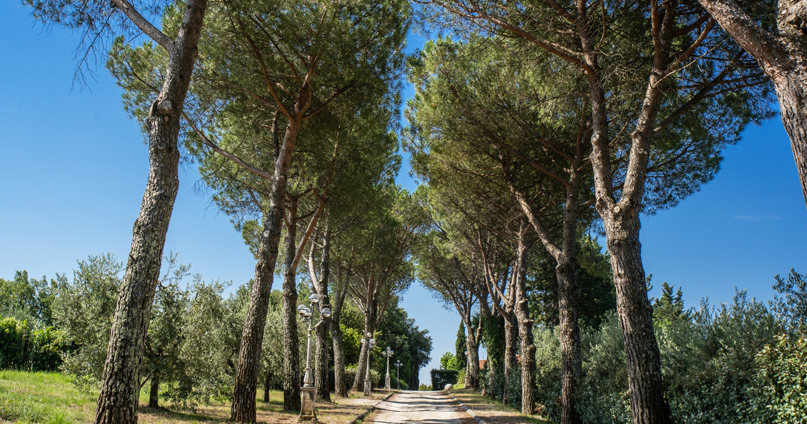Villa Alfresco _ tuscany villa for rent white road
